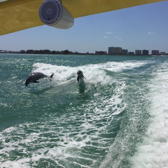 Meet your Posher, Nikki - Picture 1 of 1